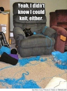 the_cat_who_knits_540